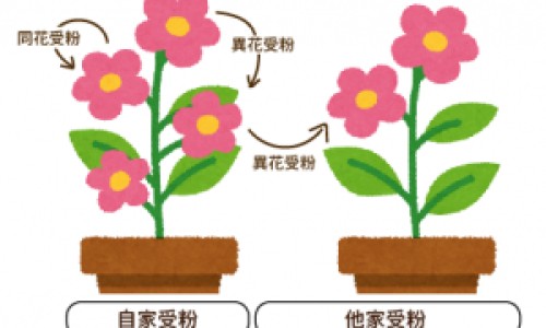 心脏引起的头部出汗吃什么药-心脏到头顶出汗厉害网 - 网站提供心脏引起的头部出汗吃什么药小常识、心脏到头顶出汗厉害怎么回事