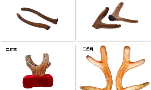 心脏不舒服头上冒汗-心脏到头顶出汗厉害网 - 网站提供心脏引起的头部出汗吃什么药小常识、心脏到头顶出汗厉害怎么回事