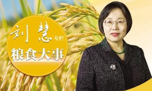 心脏到头顶出汗厉害网 - 网站提供心脏引起的头部出汗吃什么药小常识、心脏到头顶出汗厉害怎么回事